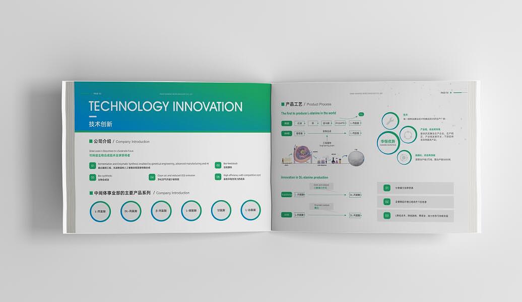 生物科技畫(huà)冊(cè)/高端/科技畫(huà)冊(cè)/畫(huà)冊(cè)設(shè)計(jì)
