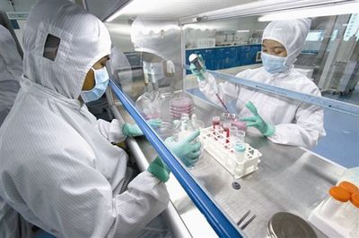 MOVAS貼壁傳代培養細胞系價格 產地:上海市張江高科技園區 品牌:DSMZ、ATCC、RIKEN等細胞庫 廠家:上海鼎達生物科技