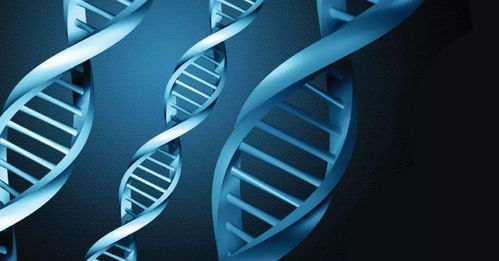 十大科技帶來 人類2.0 品讀